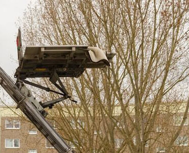 Möbellift in Balingen: Möbellift zwischen kahlen Bäumen vor einem Gebäude