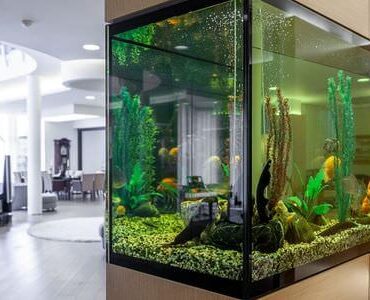 Aquarium-Umzug Balingen: Großes Aquarium in einem modernen Wohnzimmer