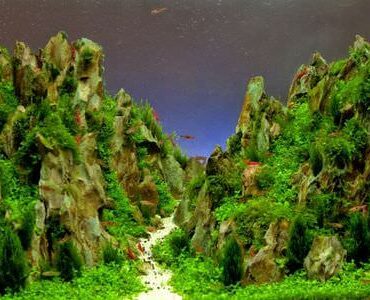Aquarium-Umzug Balingen: Aquarium mit Felslandschaft und Pflanzen
